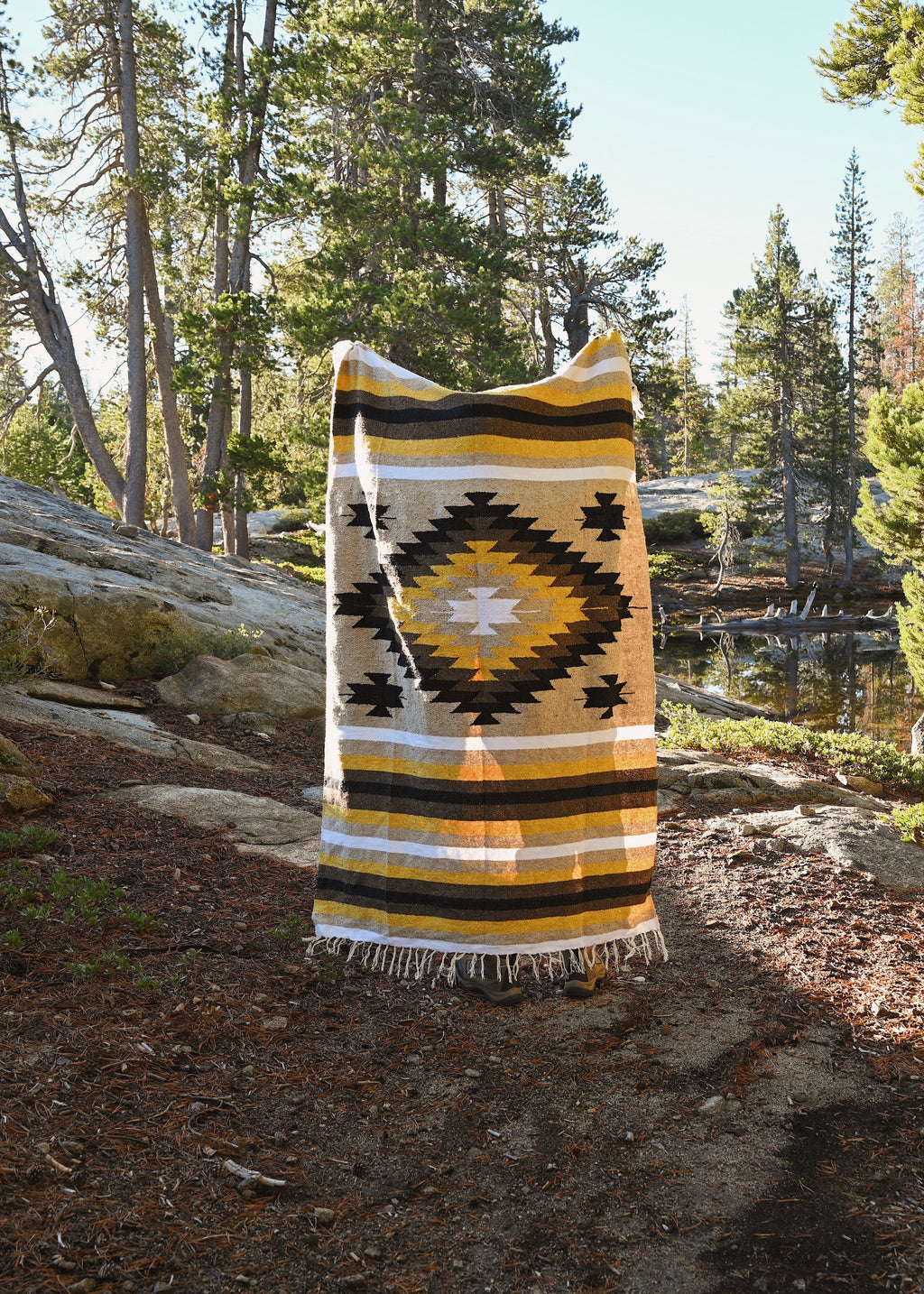 Pendleton zion blanket hot sale